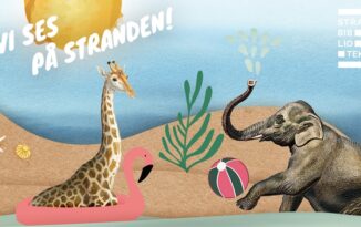 Biblioteket tager på stranden