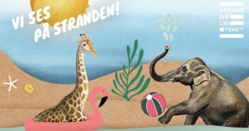 Biblioteket tager på stranden