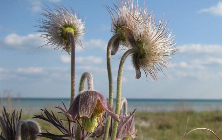 Naturkvalitetsplan 2014-18