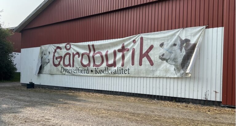 Dyrevelfærden er i top hos Højgaard Hereford