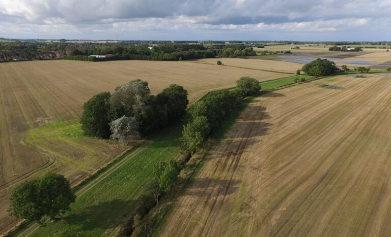 Vær med til at præge nyt naturområde langs Solrød Bæk