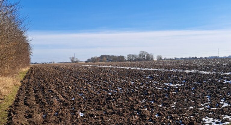 Havdrup Skovby får 150 boliger på Nældevej, Skræppevej og Løvetandsvej