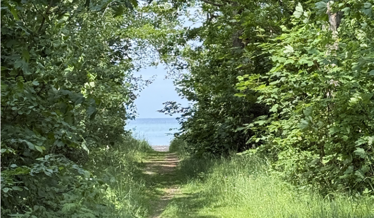 Sommergudstjenester – indenfor og udenfor