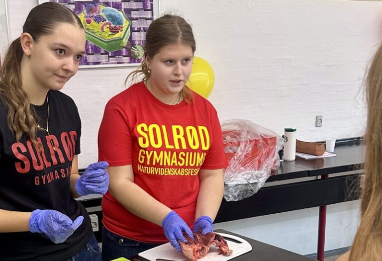 Solrød Gymnasium deltager i stort nationalt forskningsprojekt